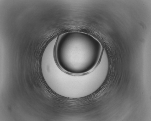 X0000112721300200909031408