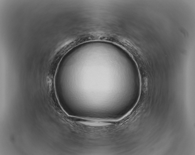 X0000112721302200909031408