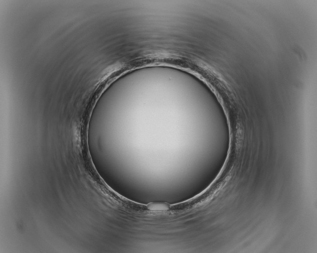 X0000112721305200909031408