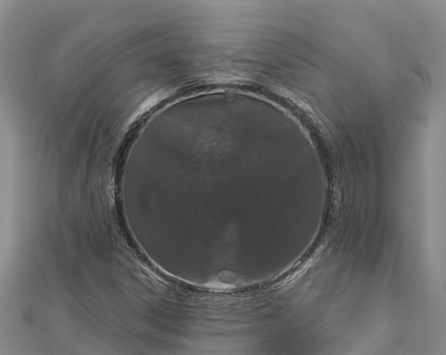 X0000112721306200909031408