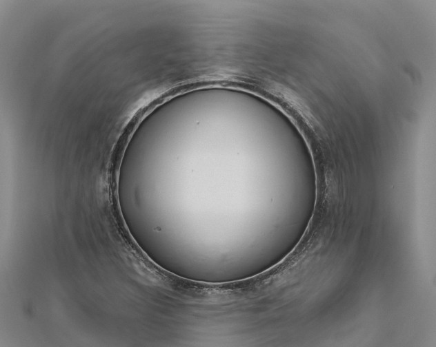 X0000112721308200909031409