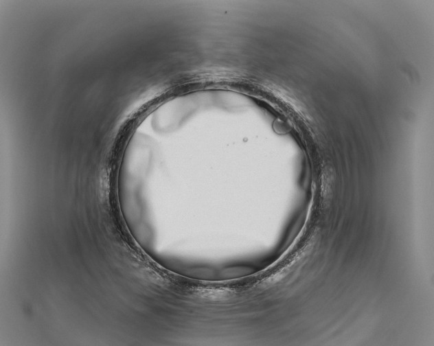 X0000112721309200909031409