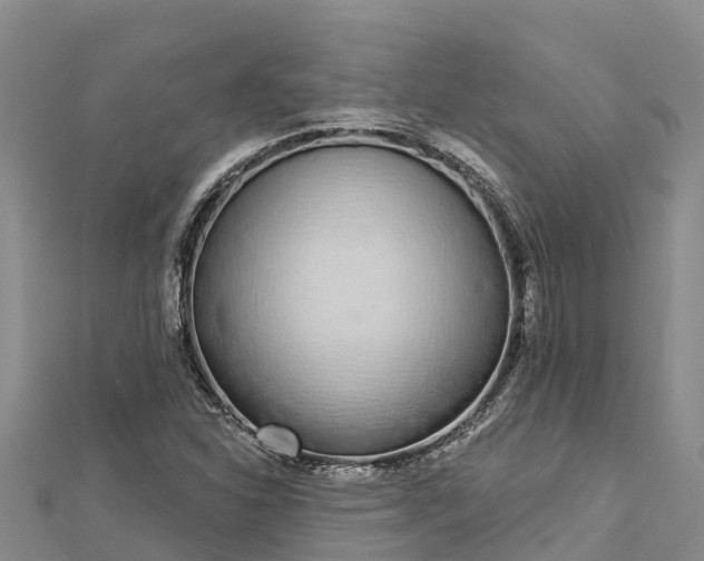 X0000112721310200909031409