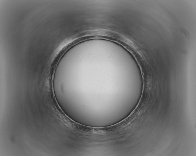 X0000112721312200909031409