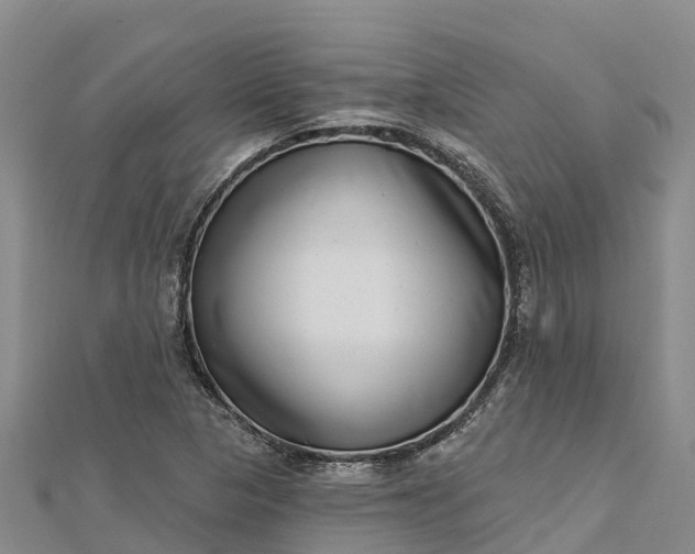 X0000112721313200909031409