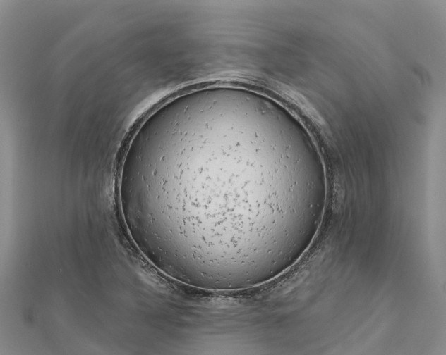 X0000112721316200909031409