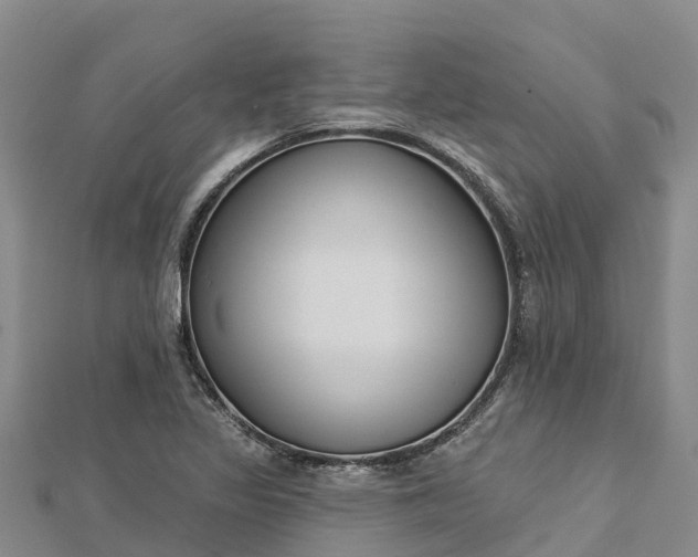 X0000112721317200909031409