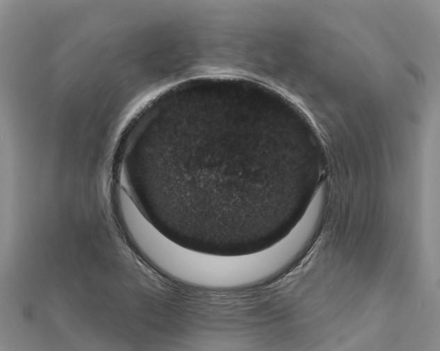 X0000112721319200909031409