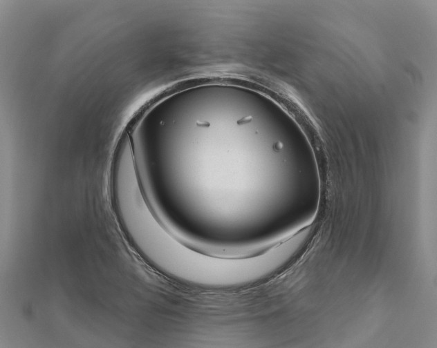 X0000112721320200909031409