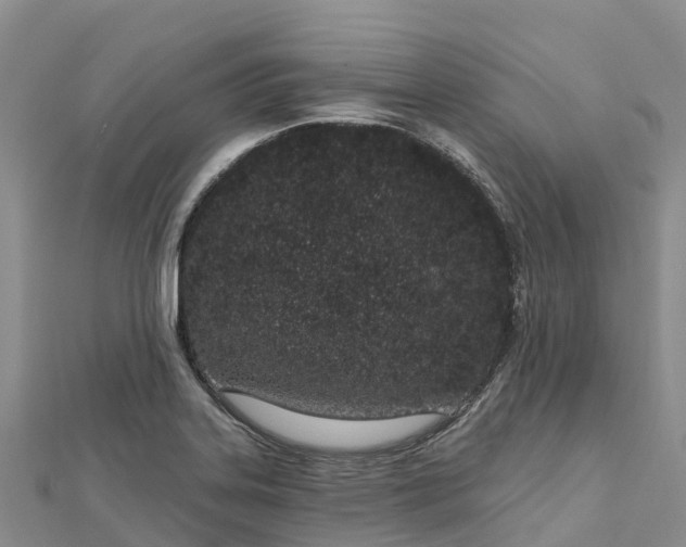 X0000112721323200909031409