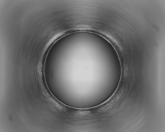 X0000112721325200909031409