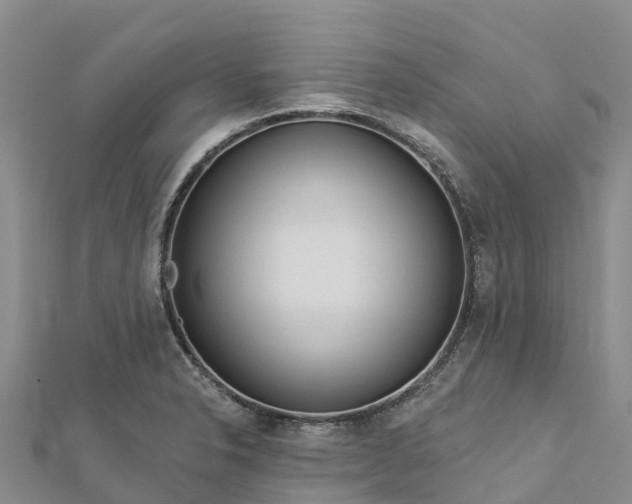 X0000112721326200909031409