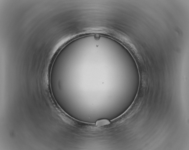 X0000112721328200909031409