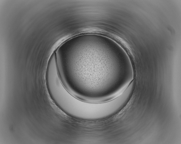 X0000112721330200909031409