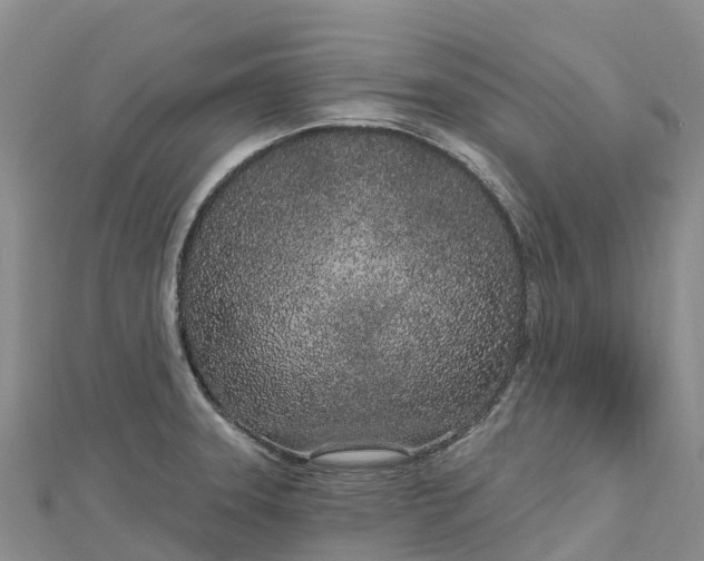 X0000112721331200909031409