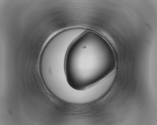 X0000112721332200909031409