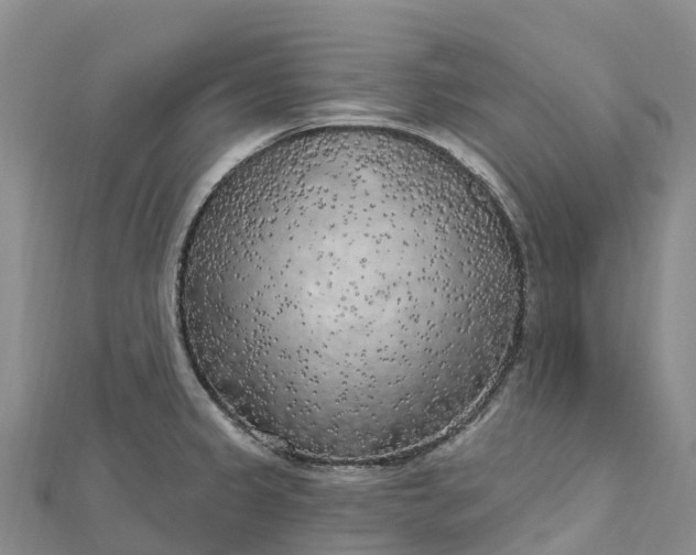 X0000112721333200909031409