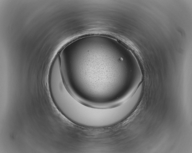 X0000112721334200909031409