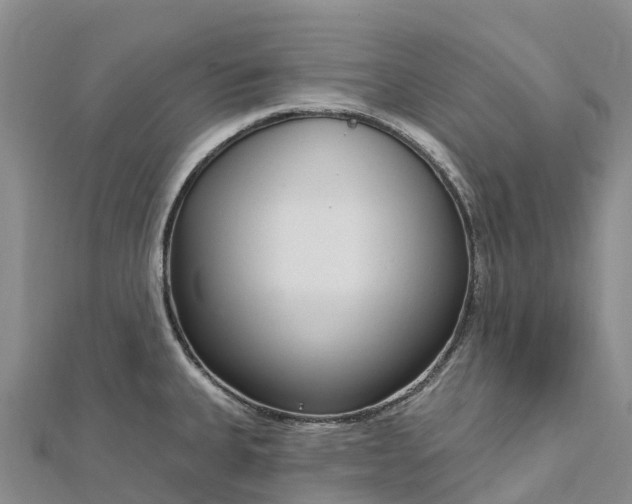 X0000112721335200909031409