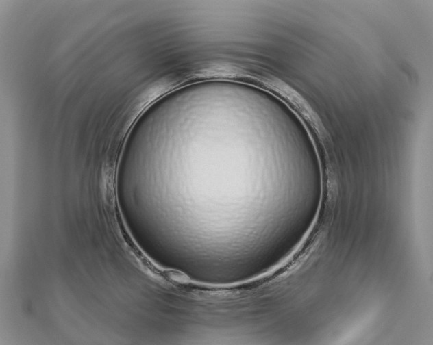 X0000112721337200909031409