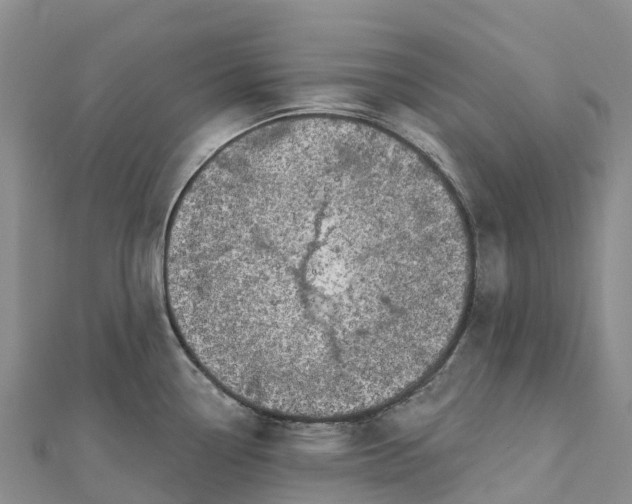 X0000112721338200909031409