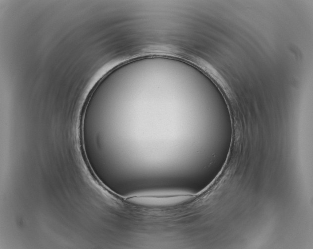 X0000112721339200909031409