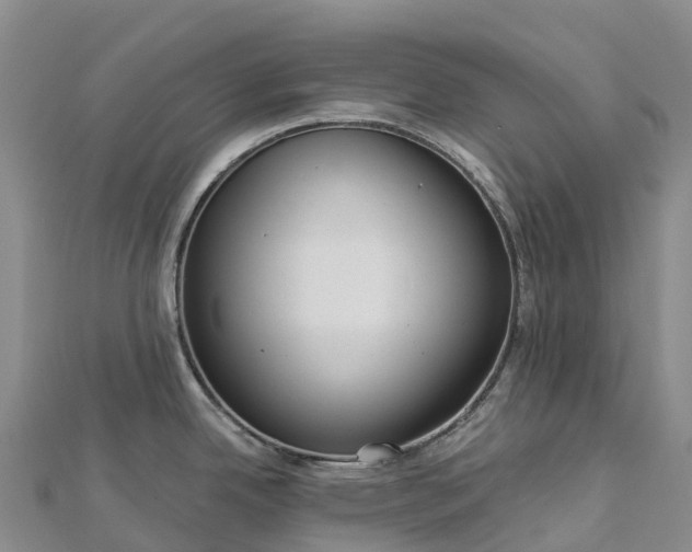 X0000112721342200909031409