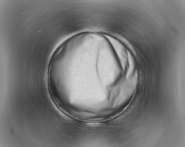 X0000112721343200909031409