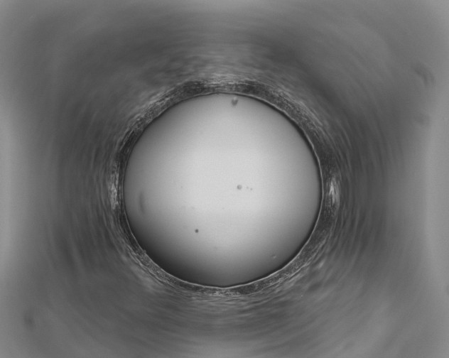 X0000112721348200909031408