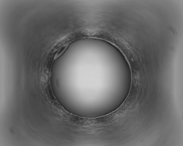 X0000112721349200909031408