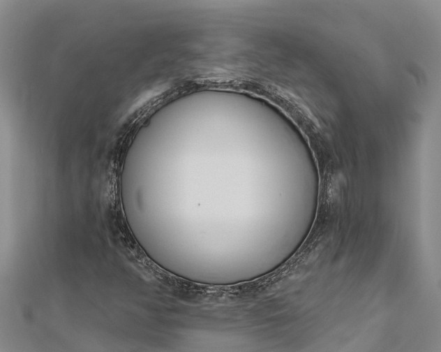 X0000112721350200909031408