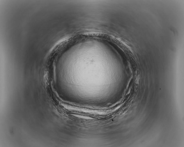 X0000112721351200909031408