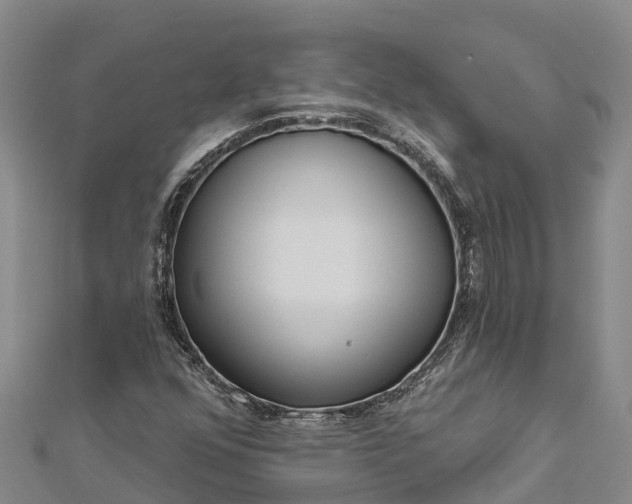 X0000112721352200909031408