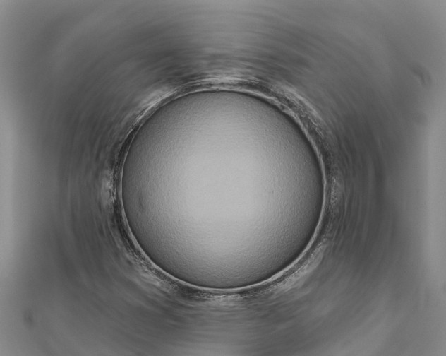 X0000112721353200909031408