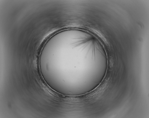 X0000112721356200909031408