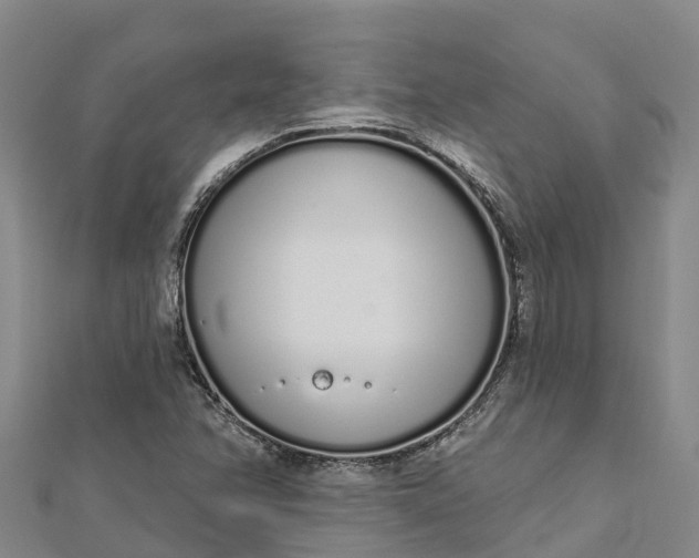 X0000112721358200909031408