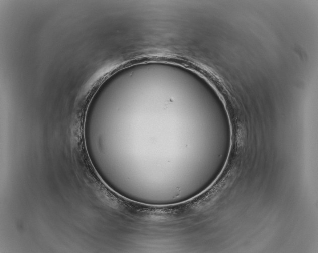 X0000112721359200909031408