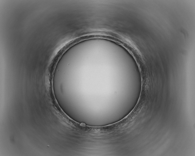 X0000112721360200909031408