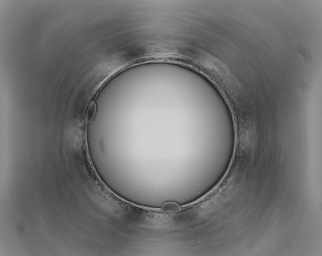 X0000112721361200909031408