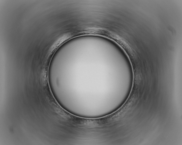 X0000112721362200909031408