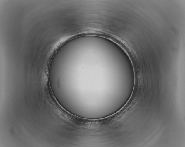 X0000112721363200909031408