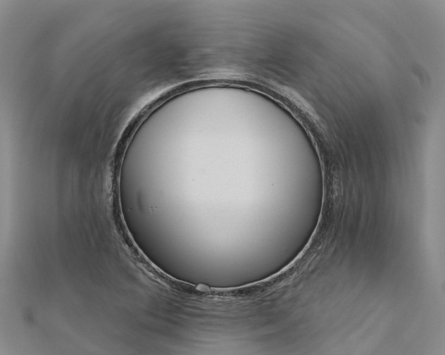 X0000112721364200909031408