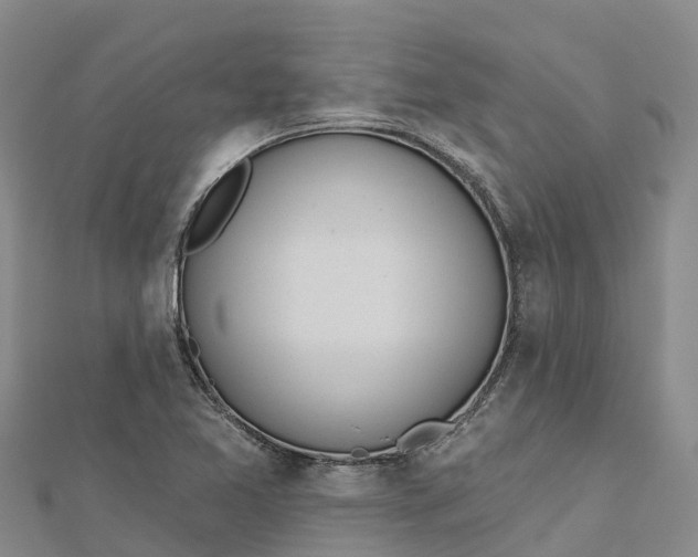 X0000112721365200909031408