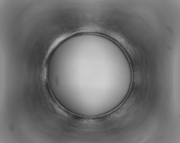 X0000112721366200909031408