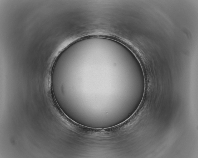 X0000112721367200909031408