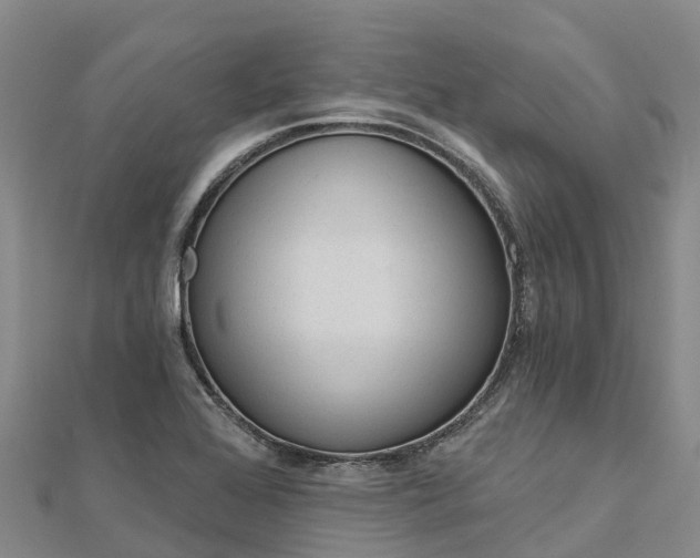 X0000112721368200909031408