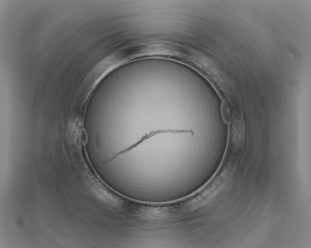 X0000112721369200909031408