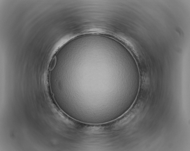 X0000112721373200909031408