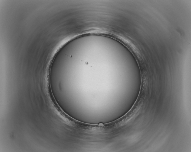 X0000112721375200909031408