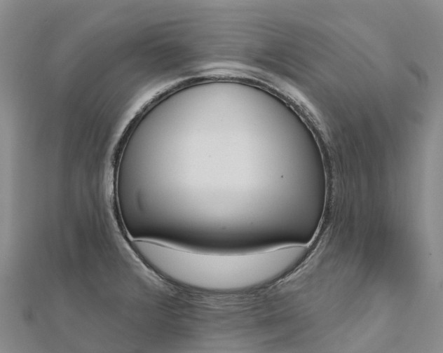 X0000112721376200909031408